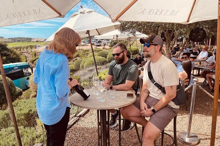 Tour de vinhos panorâmico na Ilha Waiheke, Nova Zelândia, visitando vinícolas e apreciando vistas costeiras, foto 27 | wizardtrip