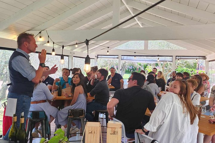 Tour de vinhos panorâmico na Ilha Waiheke, Nova Zelândia, visitando vinícolas e apreciando vistas costeiras, foto 28 | wizardtrip