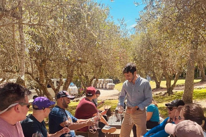 Tour de vinhos panorâmico na Ilha Waiheke, Nova Zelândia, visitando vinícolas e apreciando vistas costeiras, foto 31 | wizardtrip