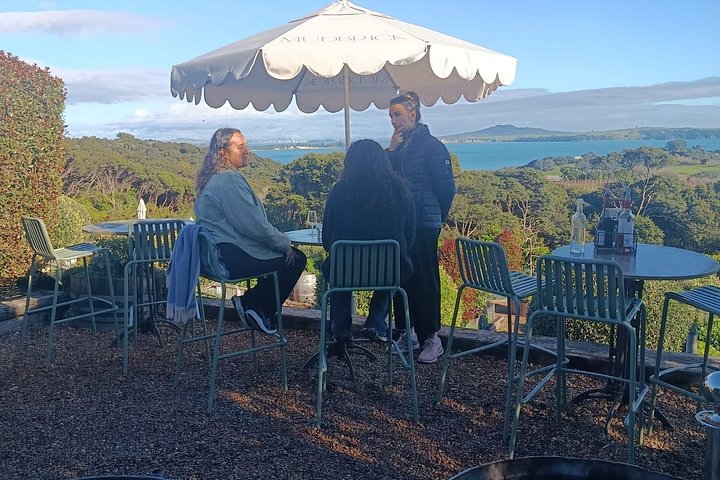 Tour de vinhos panorâmico na Ilha Waiheke, Nova Zelândia, visitando vinícolas e apreciando vistas costeiras, foto 34 | wizardtrip
