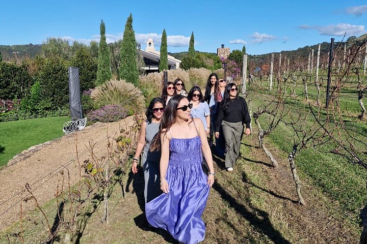 Tour de vinhos panorâmico na Ilha Waiheke, Nova Zelândia, visitando vinícolas e apreciando vistas costeiras, foto 37 | wizardtrip