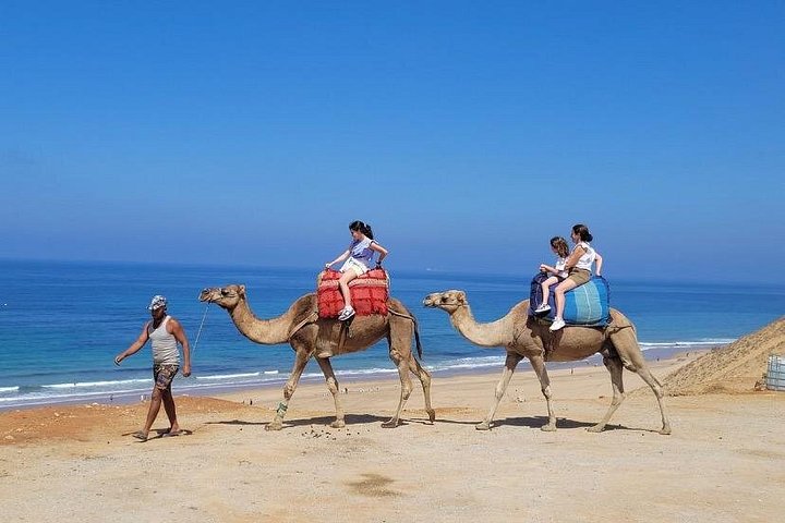 Private guided tour exploring historical sites, cultural landmarks, and scenic views in Tangier, Morocco, photo 22 | wizardtrip