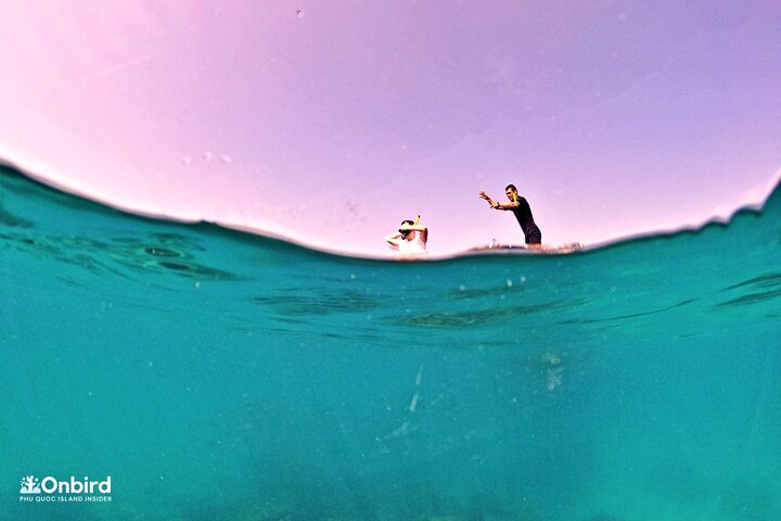 Professional small-group speedboat snorkeling tour exploring vibrant coral reefs in Phu Quoc, photo 10 | wizardtrip
