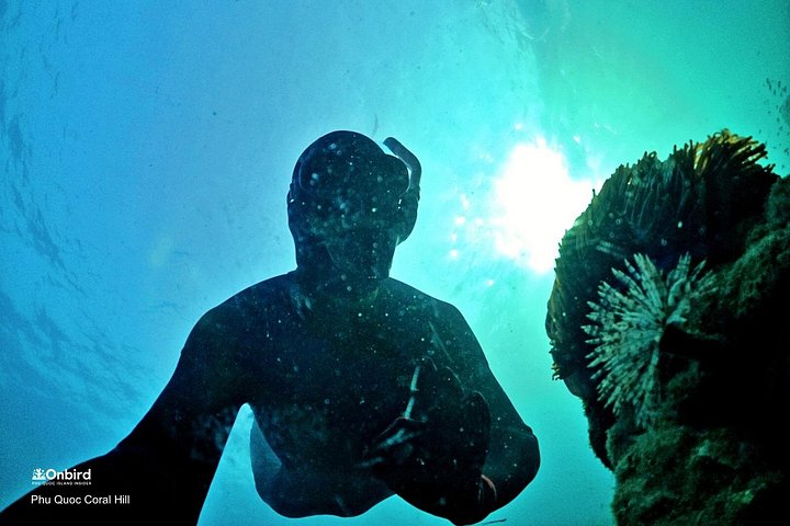 Professional small-group speedboat snorkeling tour exploring vibrant coral reefs in Phu Quoc, photo 13 | wizardtrip