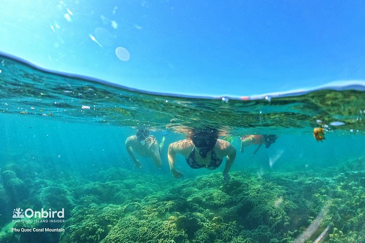 Professional small-group speedboat snorkeling tour exploring vibrant coral reefs in Phu Quoc, photo 14 | wizardtrip