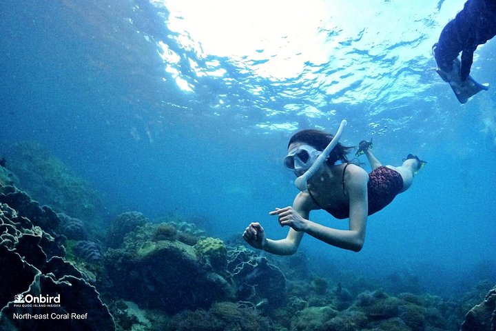 Professional small-group speedboat snorkeling tour exploring vibrant coral reefs in Phu Quoc, photo 18 | wizardtrip