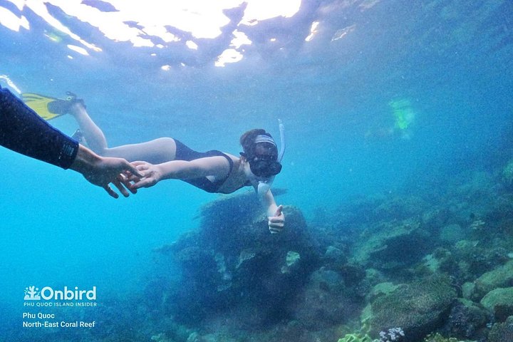 Professional small-group speedboat snorkeling tour exploring vibrant coral reefs in Phu Quoc, photo 21 | wizardtrip