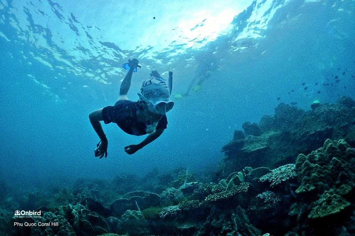 Professional small-group speedboat snorkeling tour exploring vibrant coral reefs in Phu Quoc, photo 25 | wizardtrip
