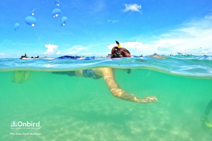 Professional small-group speedboat snorkeling tour exploring vibrant coral reefs in Phu Quoc, photo 27 | wizardtrip