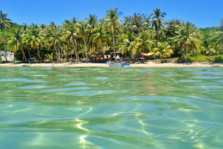 Professional small-group speedboat snorkeling tour exploring vibrant coral reefs in Phu Quoc, photo 31 | wizardtrip