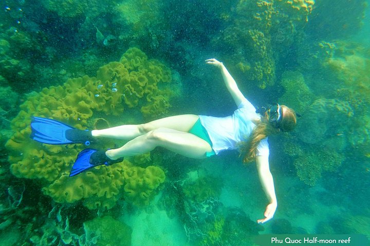 Professional small-group speedboat snorkeling tour exploring vibrant coral reefs in Phu Quoc, photo 32 | wizardtrip