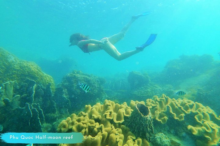Professional small-group speedboat snorkeling tour exploring vibrant coral reefs in Phu Quoc, photo 33 | wizardtrip