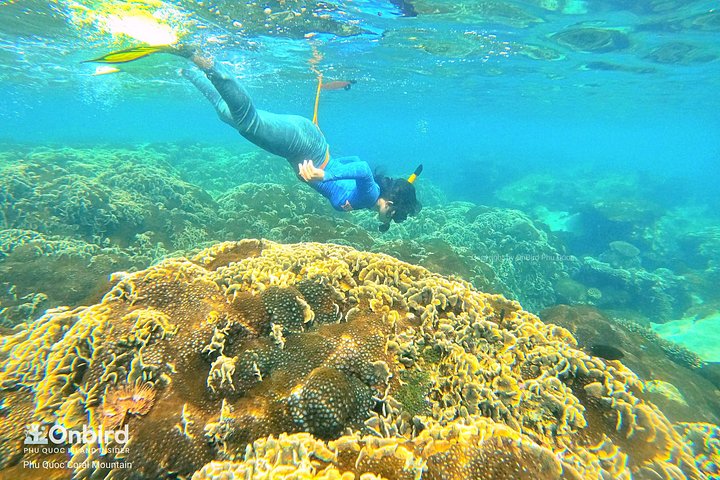 Professional small-group speedboat snorkeling tour exploring vibrant coral reefs in Phu Quoc, photo 39 | wizardtrip