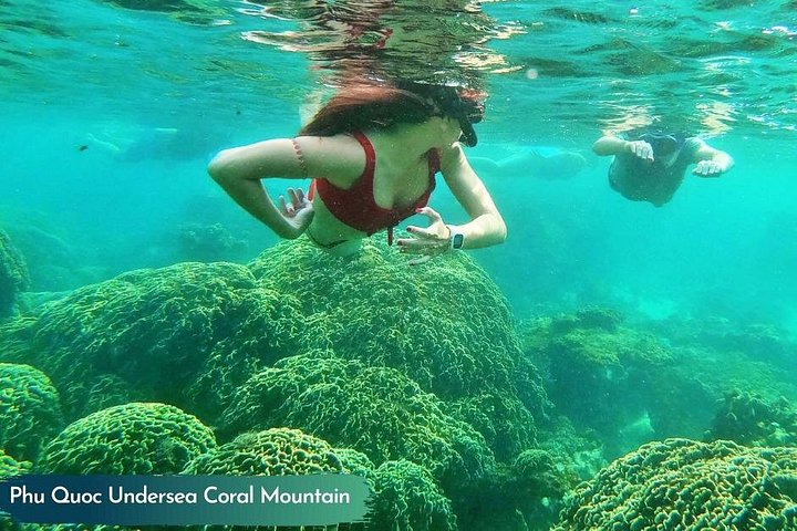 Professional small-group speedboat snorkeling tour exploring vibrant coral reefs in Phu Quoc, photo 40 | wizardtrip