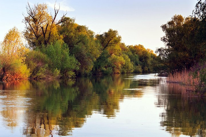 Explorez les voies navigables panoramiques du delta du Tigre lors d'une excursion en bateau depuis Buenos Aires, Argentine, photo 7 | wizardtrip