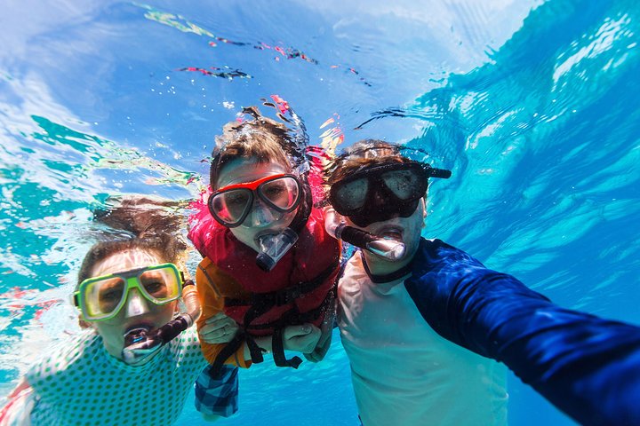 Tour in barca semi-privato per snorkeling con tartarughe e visita a Honeymoon Beach a St. Thomas, foto 8 | wizardtrip