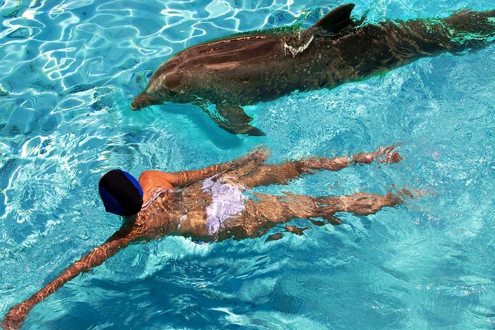 Tour in barca semi-privato per snorkeling con tartarughe e visita a Honeymoon Beach a St. Thomas, foto 11 | wizardtrip