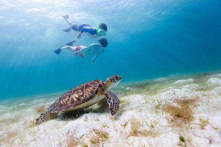 Passeio de catamarã de luxo em St. Thomas, explorando ilhas e snorkeling, foto 13 | wizardtrip