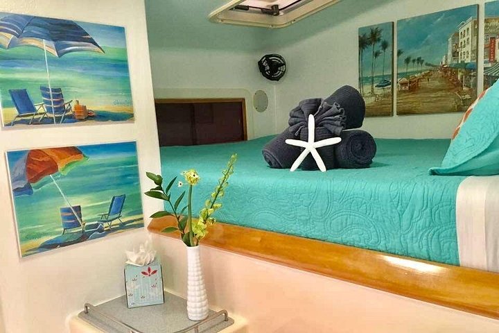 Luksus katamaran charter på St. Thomas, der tilbyder snorkling, strandbesøg og privat sejlads, foto 12 | wizardtrip
