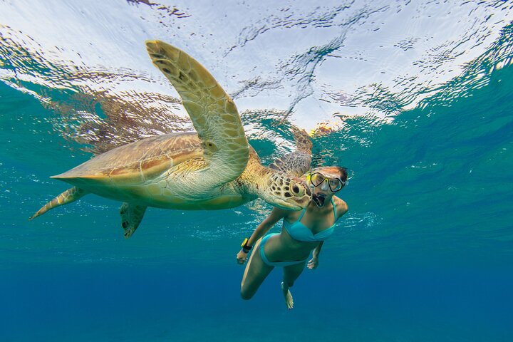 Luksus katamaran charter på St. Thomas, der tilbyder snorkling, strandbesøg og privat sejlads, foto 18 | wizardtrip