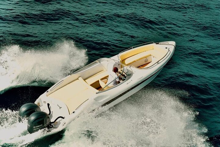 PRIVÉ ! | Excursion 4h en bateau rapide | Nage avec les dauphins, snorkeling et île | wizardtrip