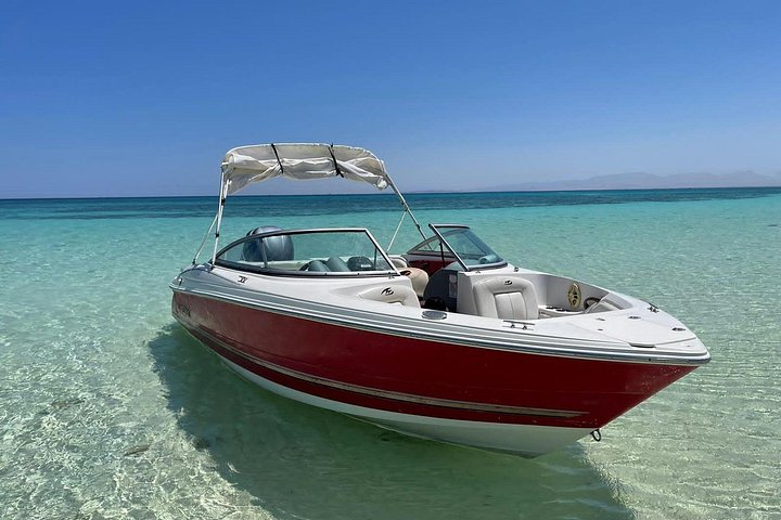 Private speed boat trip in Hurghada with dolphin swimming, snorkeling, and island visit, photo 13 | wizardtrip