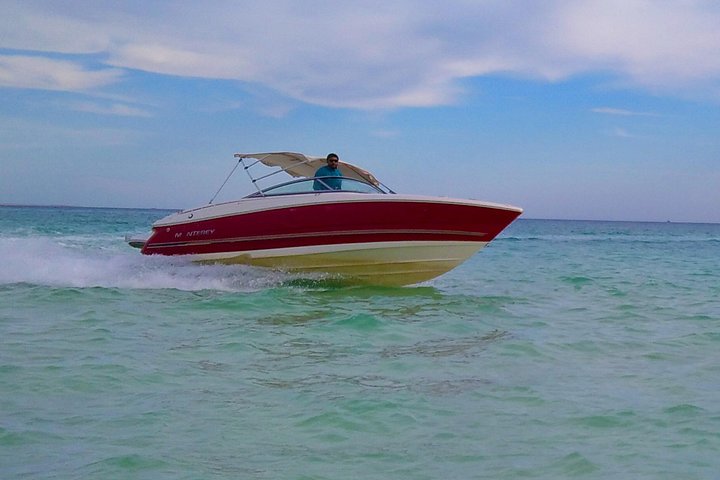 Private speed boat trip in Hurghada with dolphin swimming, snorkeling, and island visit, photo 14 | wizardtrip