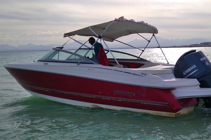Private speed boat trip in Hurghada with dolphin swimming, snorkeling, and island visit, photo 15 | wizardtrip