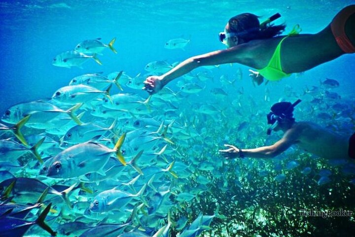 Private speed boat trip in Hurghada with dolphin swimming, snorkeling, and island visit, photo 19 | wizardtrip