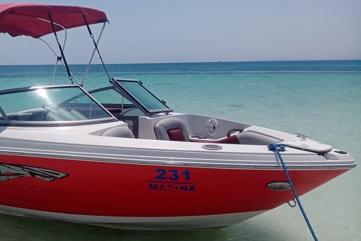 Private speed boat trip in Hurghada with dolphin swimming, snorkeling, and island visit, photo 20 | wizardtrip