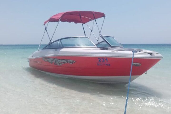 Private speed boat trip in Hurghada with dolphin swimming, snorkeling, and island visit, photo 21 | wizardtrip
