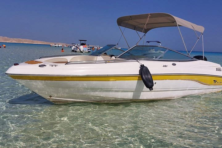 Private speed boat trip in Hurghada with dolphin swimming, snorkeling, and island visit, photo 25 | wizardtrip