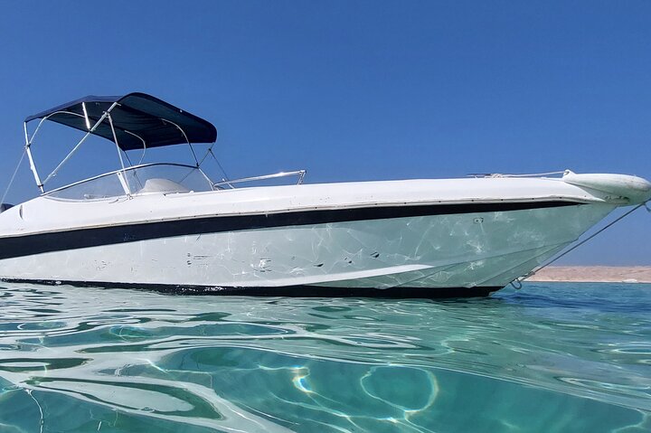 Private speed boat trip in Hurghada with dolphin swimming, snorkeling, and island visit, photo 32 | wizardtrip