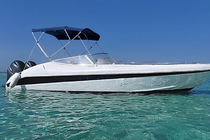 Private speed boat trip in Hurghada with dolphin swimming, snorkeling, and island visit, photo 33 | wizardtrip