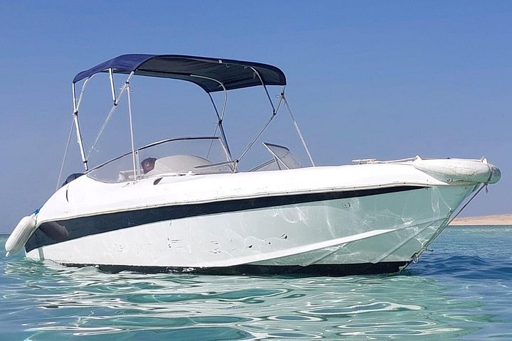 Private speed boat trip in Hurghada with dolphin swimming, snorkeling, and island visit, photo 36 | wizardtrip