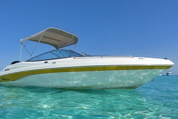 Private speed boat trip in Hurghada with dolphin swimming, snorkeling, and island visit, photo 40 | wizardtrip
