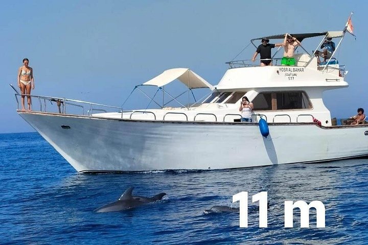 Excursion privée en bateau à Hurghada avec snorkeling, visites d'îles et observation des dauphins, photo 8 | wizardtrip