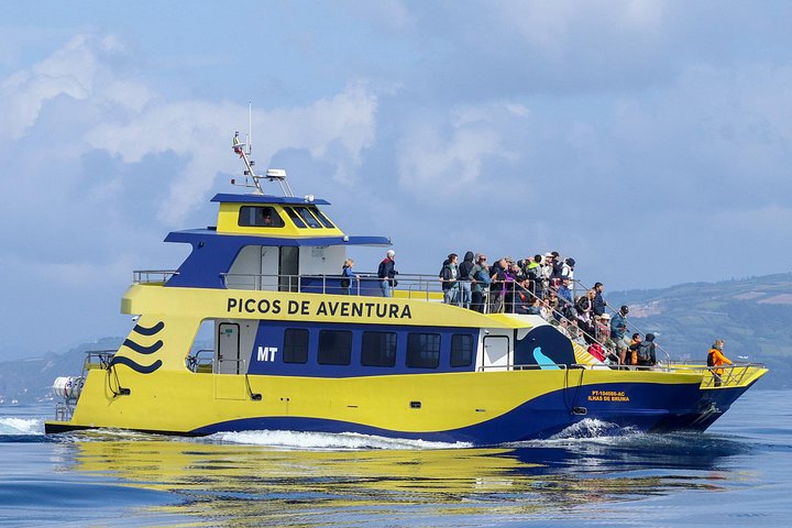 Experimenta emocionantes excursiones de avistamiento de ballenas en Ponta Delgada, Azores, con guías expertos y avistamientos garantizados, foto 6 | wizardtrip