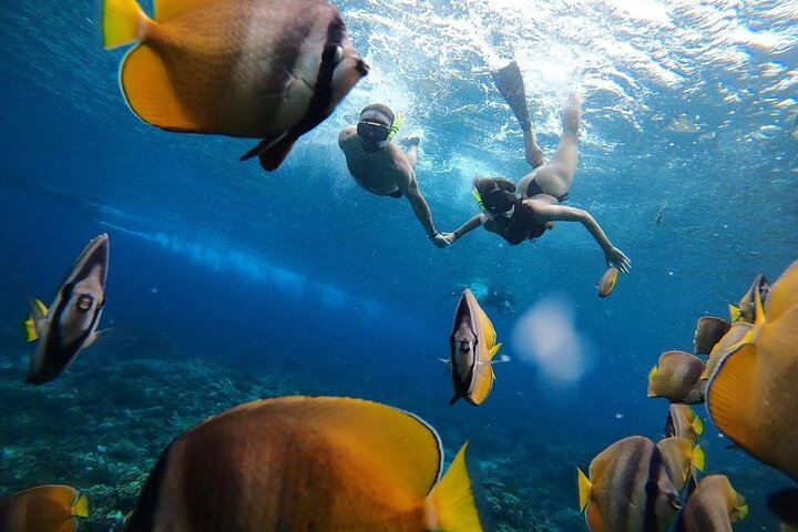 Eendaagse Tour West Nusa Penida met Snorkelen | wizardtrip