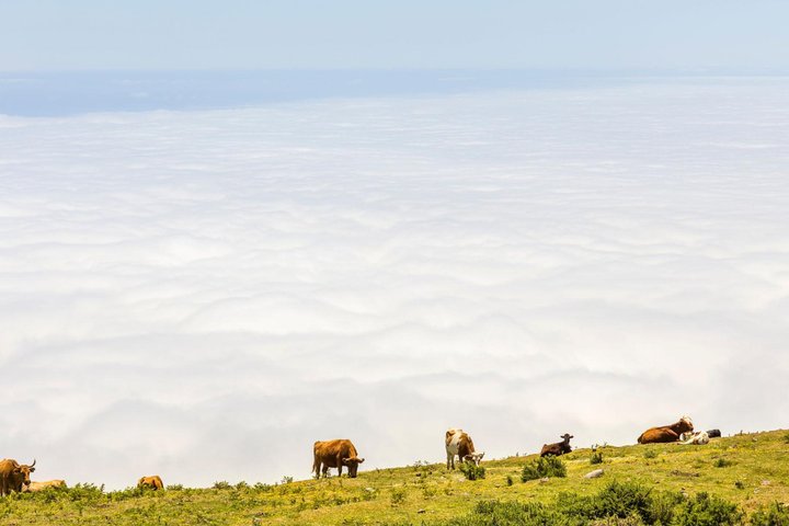 Tweedaagse eilandtour op Madeira, Portugal, met diverse landschappen, dorpjes en natuurlijke attracties, foto 16 | wizardtrip