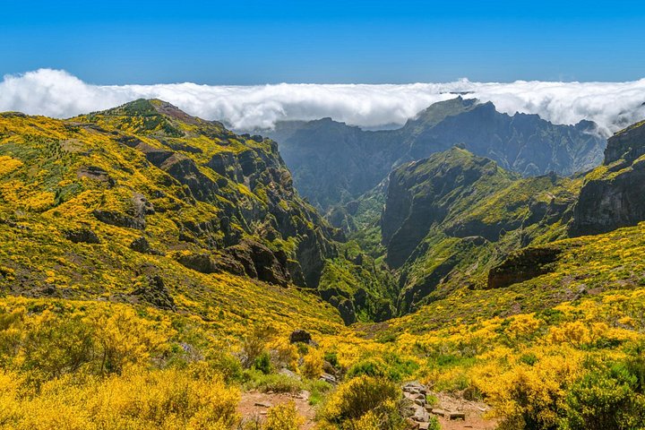 Tweedaagse eilandtour op Madeira, Portugal, met diverse landschappen, dorpjes en natuurlijke attracties, foto 25 | wizardtrip