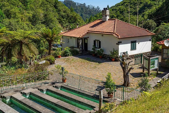 Tweedaagse eilandtour op Madeira, Portugal, met diverse landschappen, dorpjes en natuurlijke attracties, foto 28 | wizardtrip