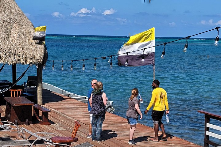Kombinieren Sie ATV-Fahrten und Tierbeobachtungen auf der Insel Roatan, Honduras, Foto 10 | wizardtrip