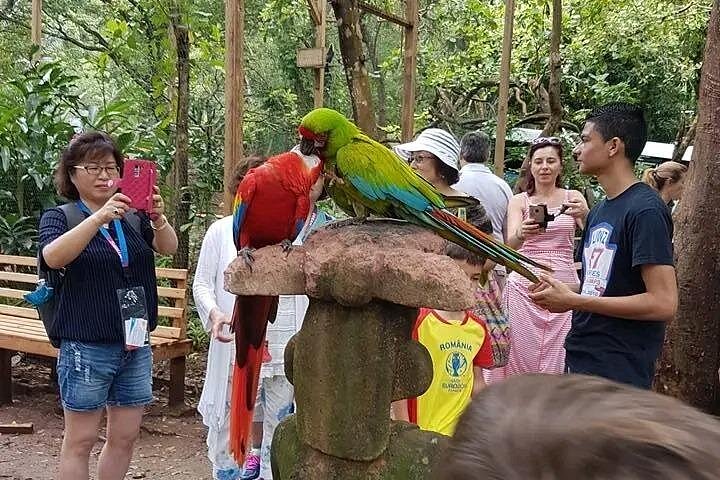 Kombinieren Sie ATV-Fahrten und Tierbeobachtungen auf der Insel Roatan, Honduras, Foto 19 | wizardtrip