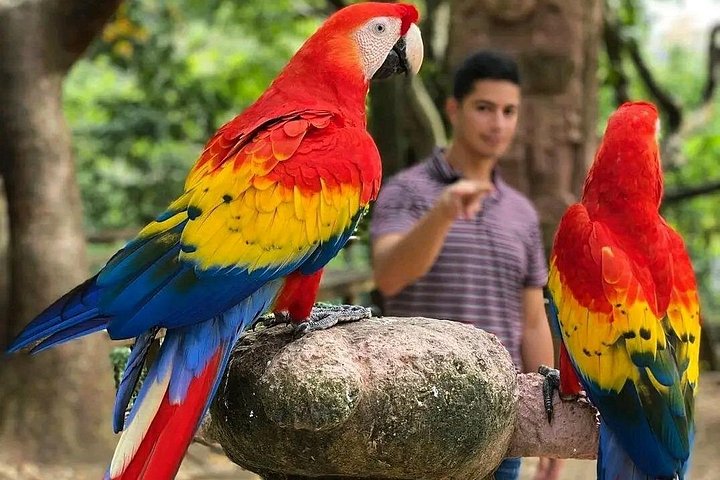 Kombinieren Sie ATV-Fahrten und Tierbeobachtungen auf der Insel Roatan, Honduras, Foto 22 | wizardtrip