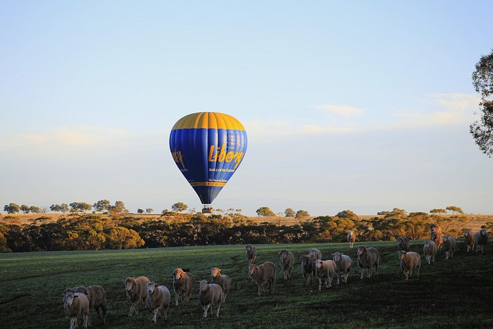 Luftballon svævende over Avon Valley ved solopgang, Western Australia, foto 9 | wizardtrip