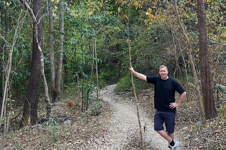 Wandern Sie durch üppigen Dschungel zu ruhigen Tempeln und genießen Sie den Panoramablick auf die Stadt vom Doi Suthep in Chiang Mai, Foto 12 | wizardtrip