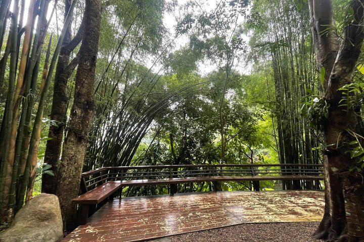 Wandern Sie durch üppigen Dschungel zu ruhigen Tempeln und genießen Sie den Panoramablick auf die Stadt vom Doi Suthep in Chiang Mai, Foto 28 | wizardtrip