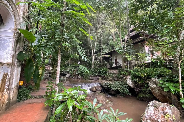 Wandern Sie durch üppigen Dschungel zu ruhigen Tempeln und genießen Sie den Panoramablick auf die Stadt vom Doi Suthep in Chiang Mai, Foto 31 | wizardtrip