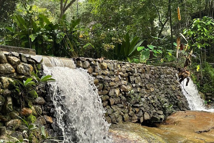 Wandern Sie durch üppigen Dschungel zu ruhigen Tempeln und genießen Sie den Panoramablick auf die Stadt vom Doi Suthep in Chiang Mai, Foto 32 | wizardtrip